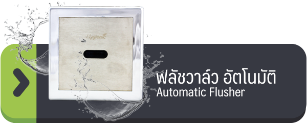 ฟลัชวาล์ว อัตโนมัติ